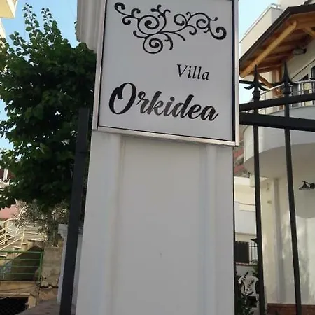 Гостевой дом Orkidea Саранда