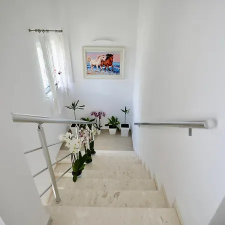 Πανσιόν Orkidea 3*