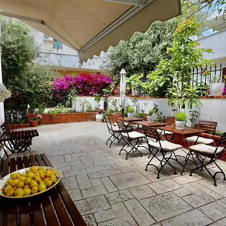 Πανσιόν Orkidea