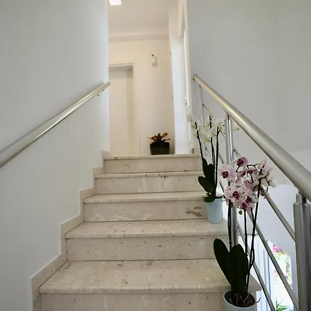 Orkidea Σαράντα
