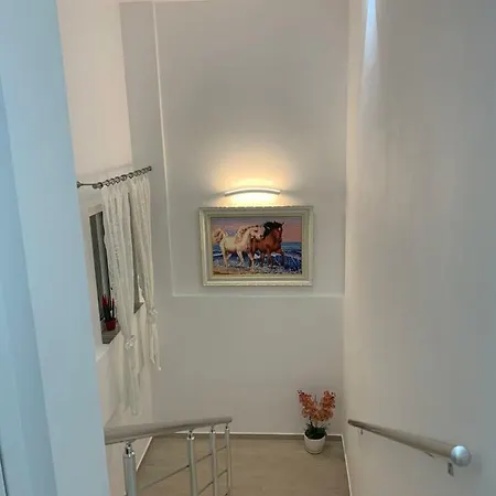 Orkidea Πανσιόν