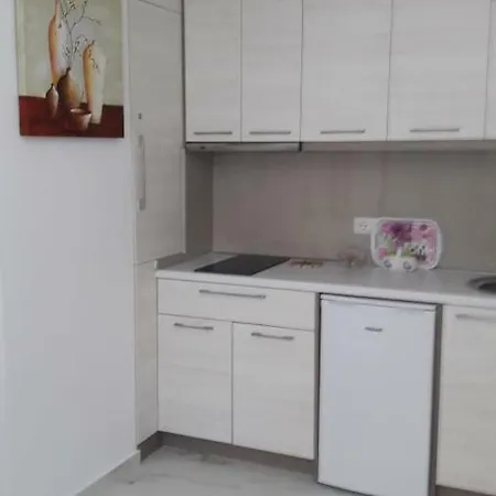 Orkidea Πανσιόν